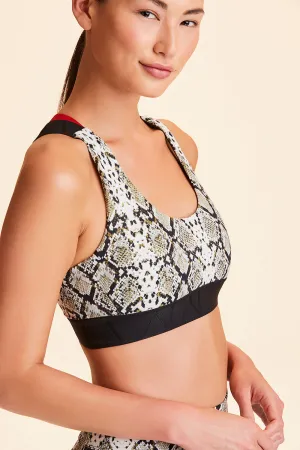 Eclipse Bra