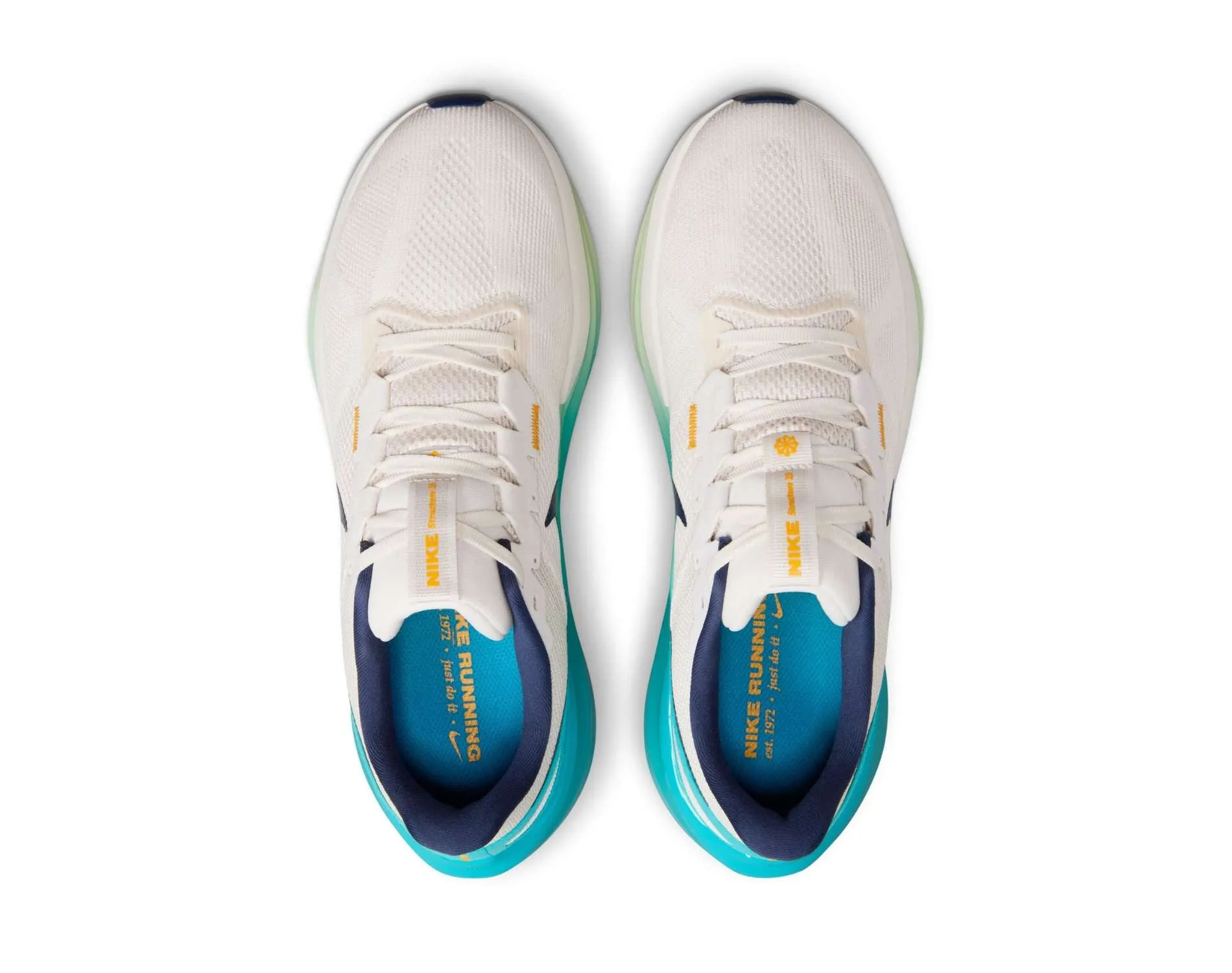Shoes Nike Nike Zoom Structure 25 Mens
