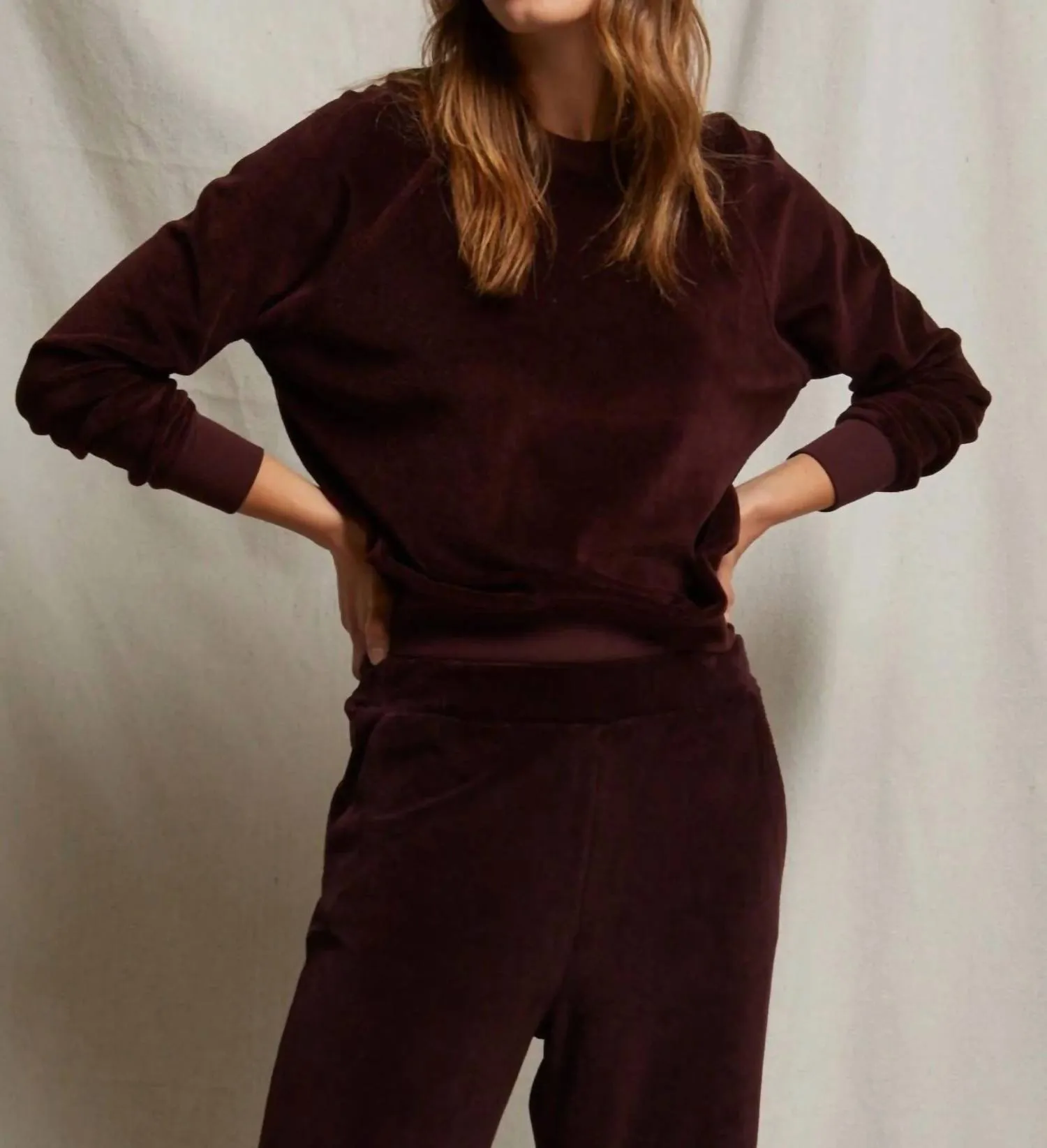 Stella Sweatshirt In Blackberry